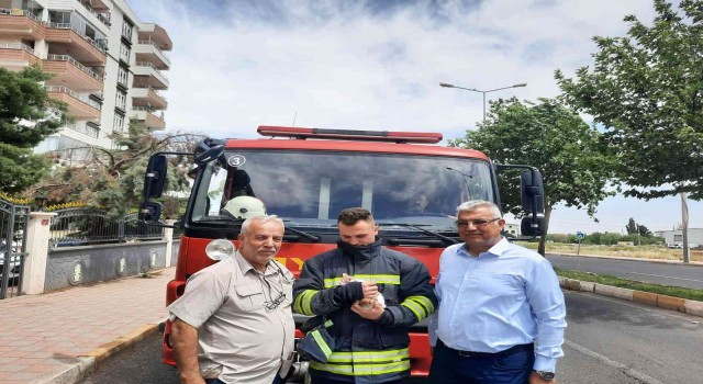 İki gün ağaçta mahsur kalan yavru kedi Dermanbabanın duyarlılığı sayesinde kurtarıldı