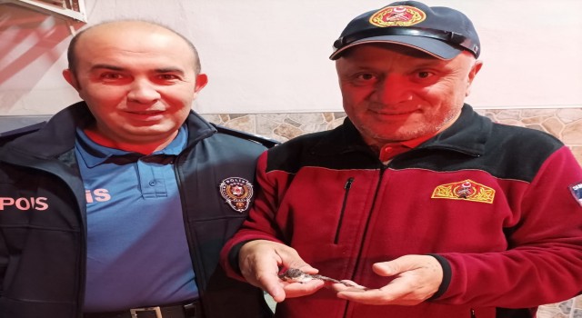 İtfaiye ekipleri yavru kuşlar için seferber oldu