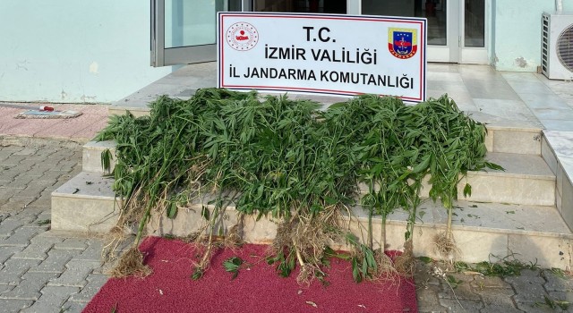 İzmirde 11 ilçede uyuşturucu operasyonu: 25 şüpheliye işlem