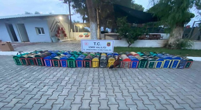 İzmirde horoz dövüşü yaptıran 46 şüpheliye işlem