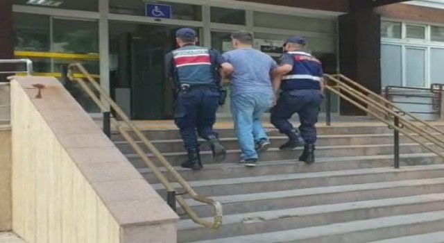 İzmirde jandarmadan terör operasyonu: 5 şüpheli yakalandı