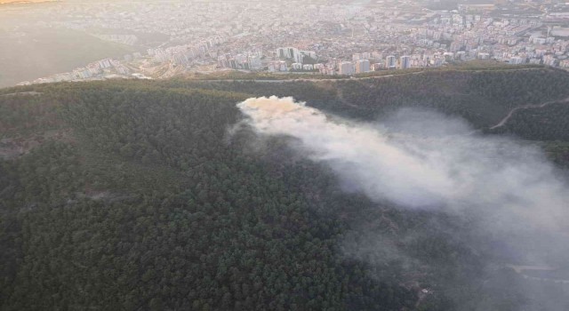 İzmirde ormanlık alanda çıkan yangın söndürüldü