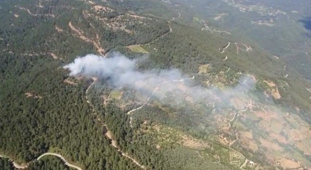 İzmirde ormanlık alanda yangın