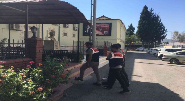Jandarmadan terör operasyonu: 6 şüpheli yakalandı