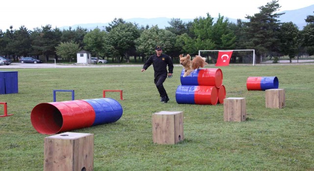 Jandarmanın eğitimli köpeklerinin gösterisi alkış topladı
