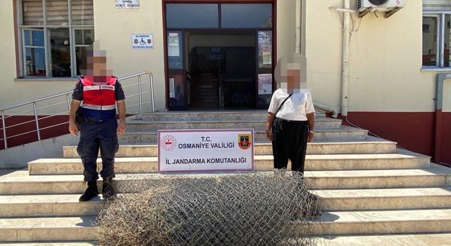 JASAT, Kadirli'de hırsızlara göz açtırmıyor