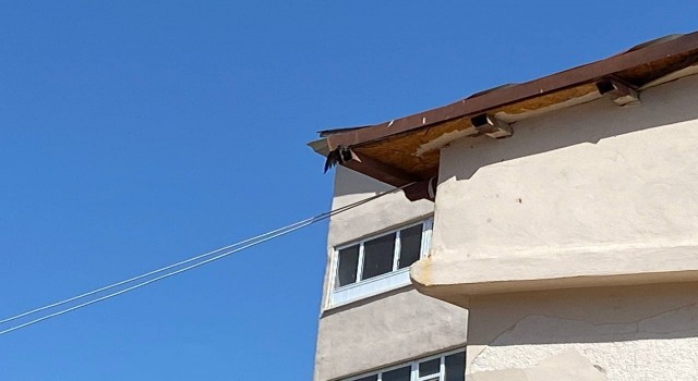 Kanadı çatıya sıkışan karga kurtarıldı