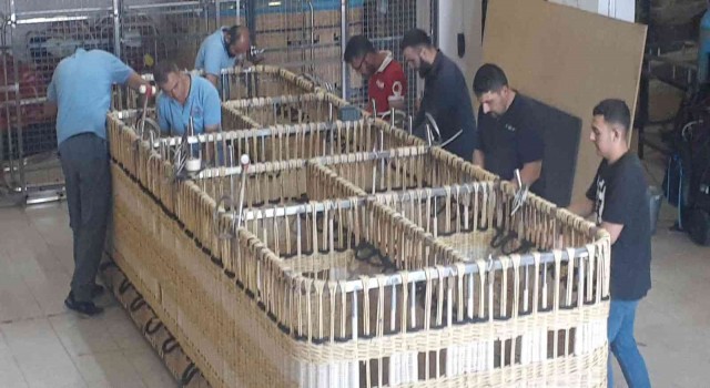 Kapadokyada üretilen ellinci balonda, Kapadokya semalarında uçacak