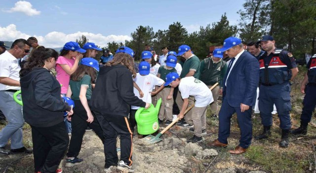 Karabükte küle dönen orman dikilen fidanlarla yeşillenecek