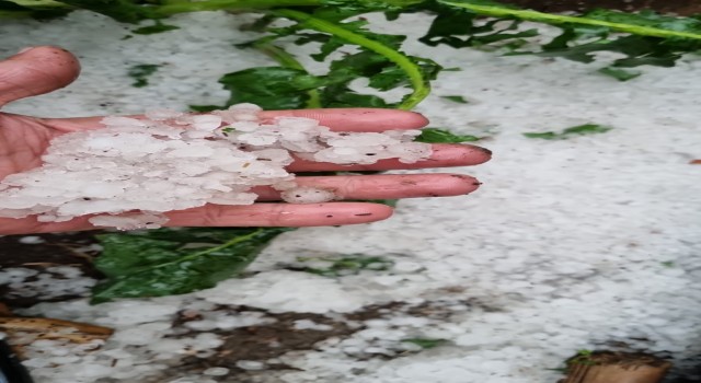 Karayolu ve tarım arazileri sel suları altında kaldı