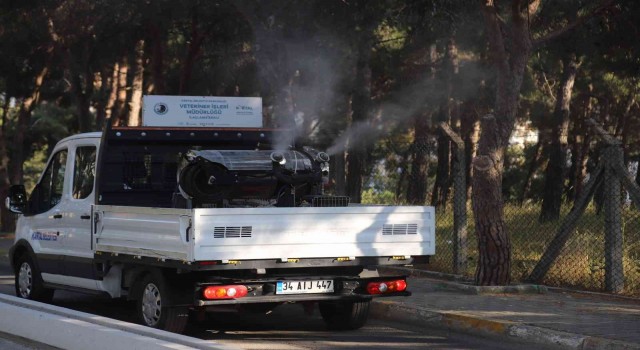 Kartalda vektörle mücadele ve ilaçlama hizmetleri devam ediyor
