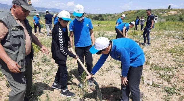 Kastamonu Üniversitesinde fidanlar toprakla buluşturuldu