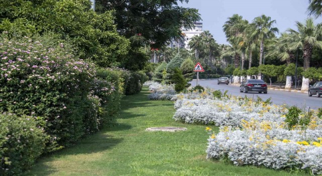 Kavşak ve refüjler artık daha yeşil