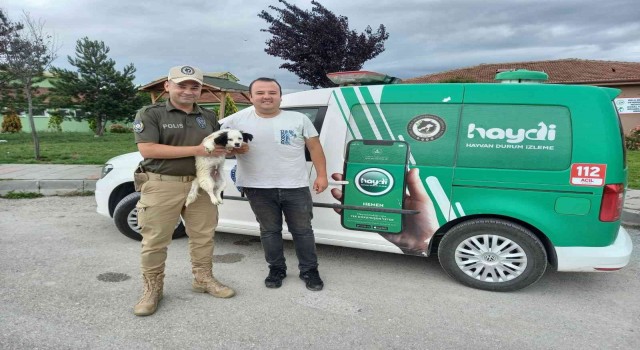 Kaybolan köpeği HAYDİ ekipleri buldu
