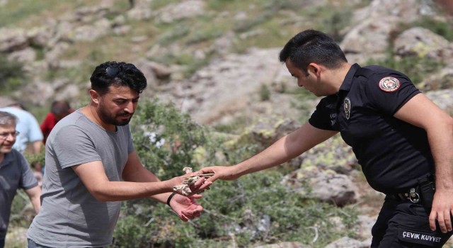 Kayseride şok olay: Şüphelinin itiraf ettiği vadide onlarca kemik bulundu