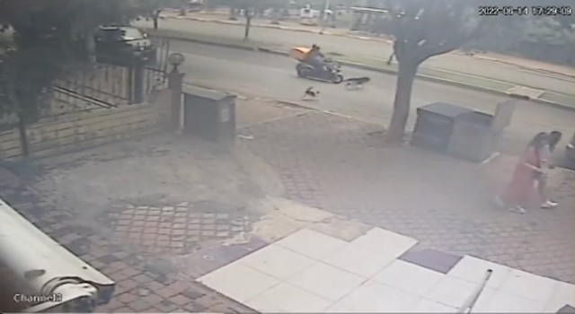 Kediden kaçan köpeğe motosiklet çarptı, o anlar kameraya yansıdı