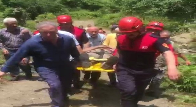 Kestiği ağacın altında mahsur kaldı
