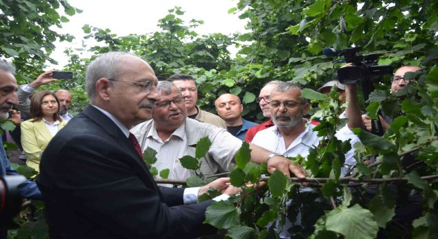 Kılıçdaroğlu: Fındık Karadeniz Bölgesinin stratejik ürünüdür