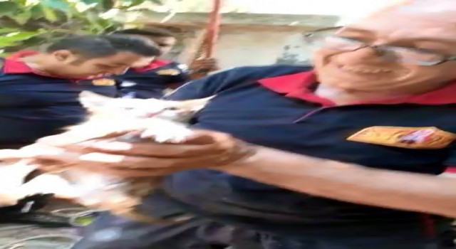 Kiliste su kuyusuna düşen kedi kurtarıldı