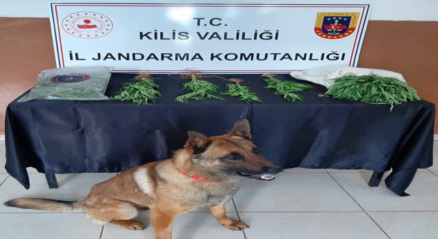 Kiliste uyuşturucu operasyonu