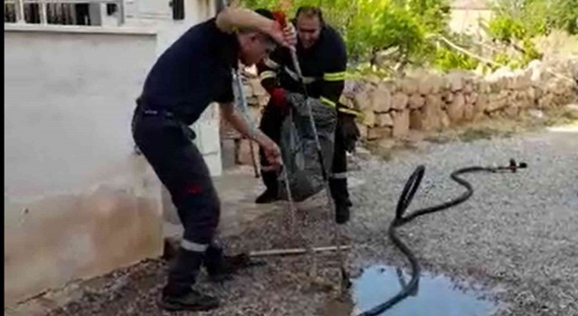 Kırıkkalede 2 metrelik yılan paniği