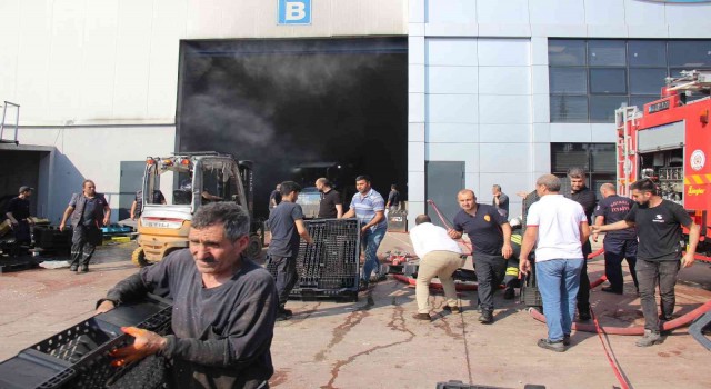 Kocaelide geri dönüşüm fabrikasında yangın
