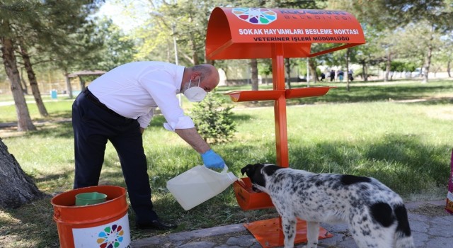 Kocasinan Belediyesinin küçük dostlar çalışmalarına liseli öğrencilerinden destek