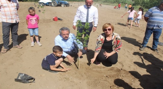 Köyceğizde öğrenciler okul bahçesine narenciye fidanı dikti