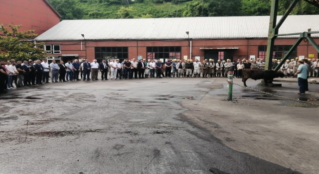 Kozluda yeni panoda üretime başlandı