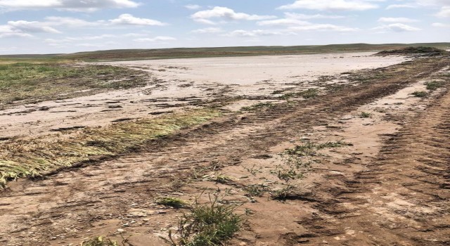 Kuluda şiddetli yağışlar yaklaşık 3 bin dekar ekili alana zarar verdi