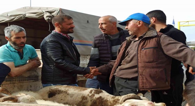Kurban Bayramının yaklaşması ile küçükbaş hayvan pazarında hareketlilik başladı
