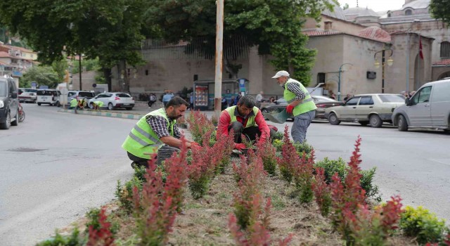 Kütahyada çiçeksiz refüj kalmayacak
