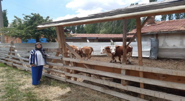 Kütahyada Uzman Eller projesinde ilk hak ediş Domaniçte gerçekleşti