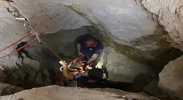 Kuyuya düşen ineği itfaiye kurtardı