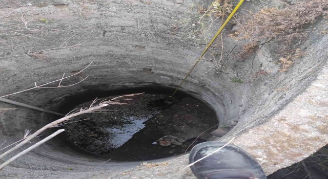 Kuyuya düşen köpek kurtarıldı