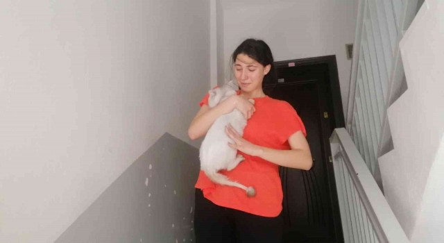Lise öğrencisi, kedisi Dumana kavuşunca sevinçten ağladı