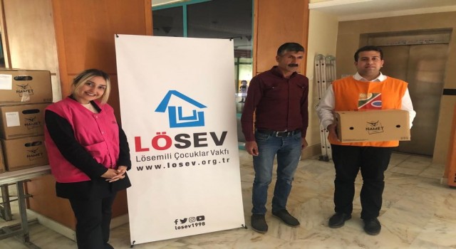 LÖSEVden Bitlisli ailelere yardım