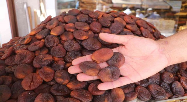 Malatyada kuru kayısıda tahmini rekolte 75 bin 776 ton