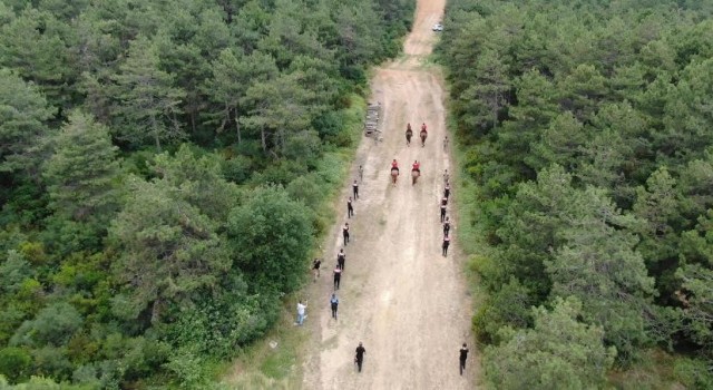 Maltepede orman yangınlarına karşı atlı polislerden denetim