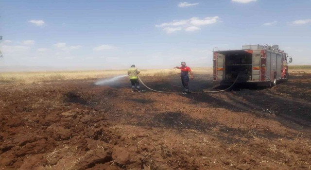 Mardinde 100 dönümlük buğday tarlası kül oldu