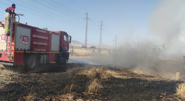 Mardinde buğday ekili arazide yangın, 55 dönüm kül oldu