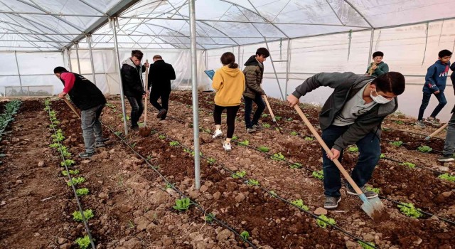 Mardinde meslek lisesinde uygulamalı tarım eğitimi