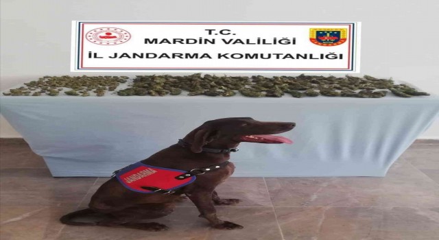 Mardinde uyuşturucu satıcıları suçüstü yakalandı