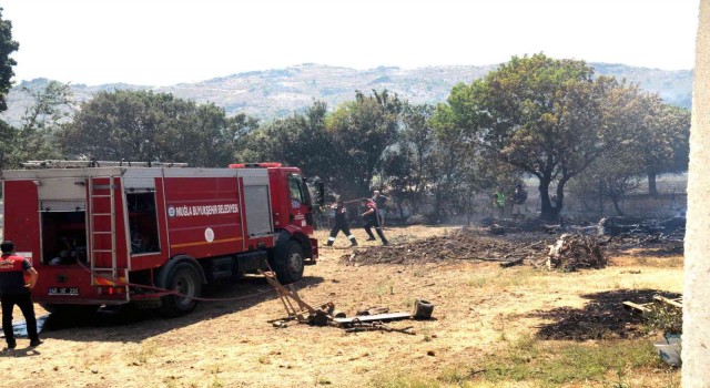 Marmaris yangınına Büyükşehir ekipleri de müdahale ediyor