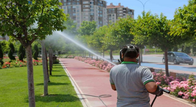 Meramda ilaçlama çalışmaları hız kazandı