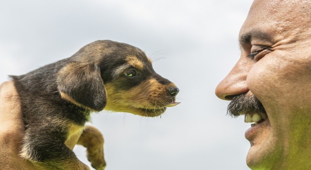 Mersinde 2 gün çukurda mahsur kalan köpek kurtarıldı