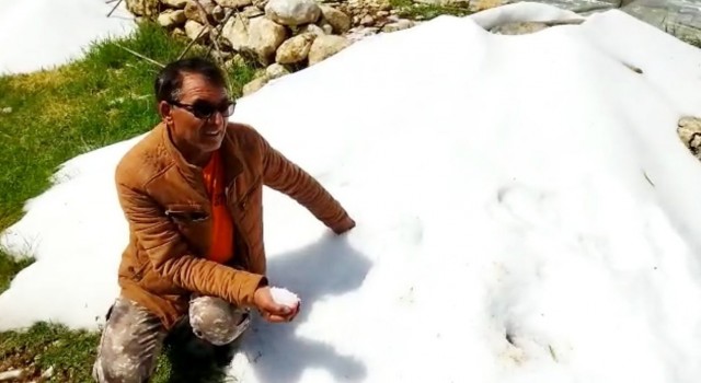 Mersinde dolu 10 dakikada bahçelere zarar verdi