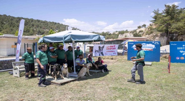 Mersinde köpek eğitim alanı kuruldu