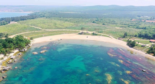 Miço Koyunda yaz hazırlığı başladı