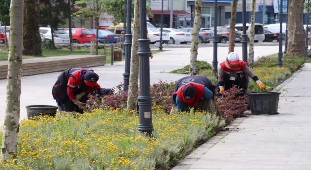 Millet Bahçesi rengarenk